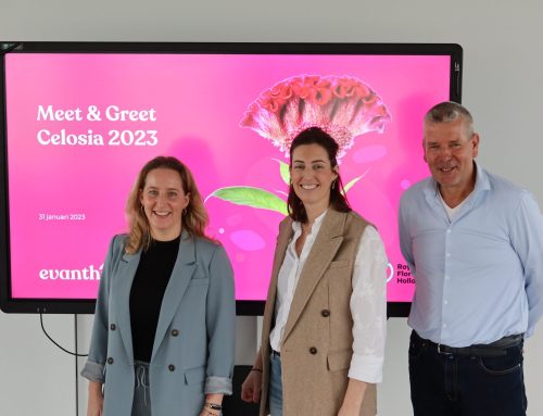 Celosia Meet & Greet – Ketenverbinding, kansen en hanenkammen
