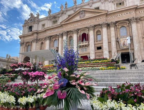Celosia op het Sint Pietersplein in Rome